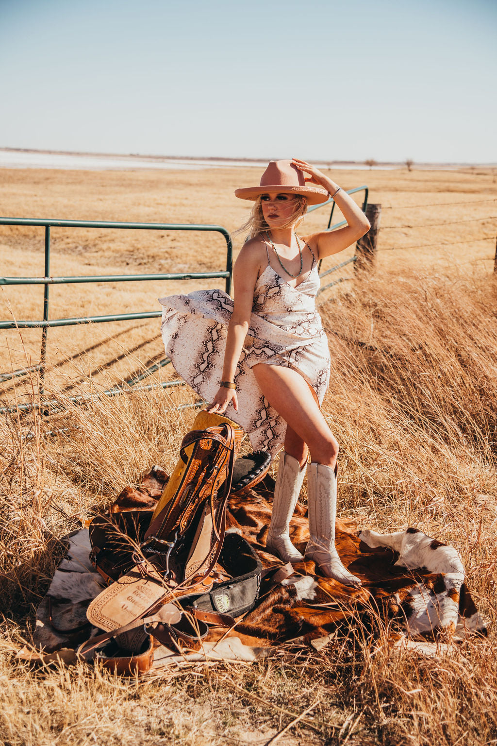 Rattlesnake Bite Dress